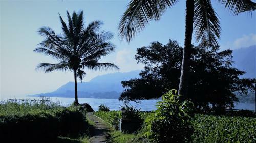 Bed & Breakfast Liberta Homestay