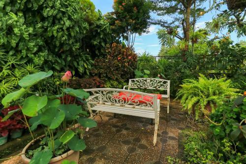 Hostal Labuana Homestay & Cafe Garden