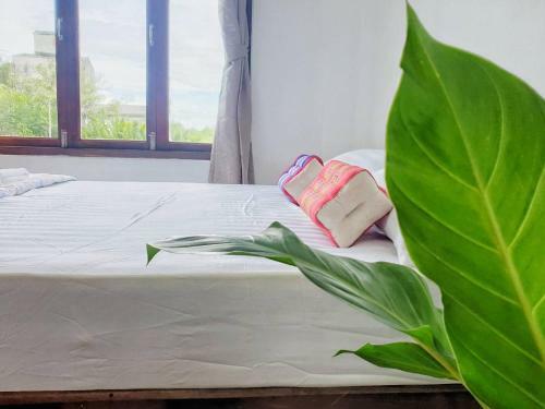 Baan Argong Homestay Pakphanang