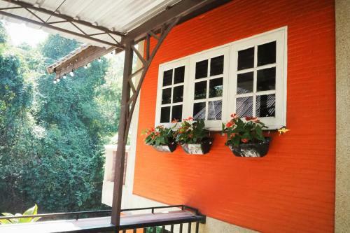 Bed & Breakfast Chomklong Experience