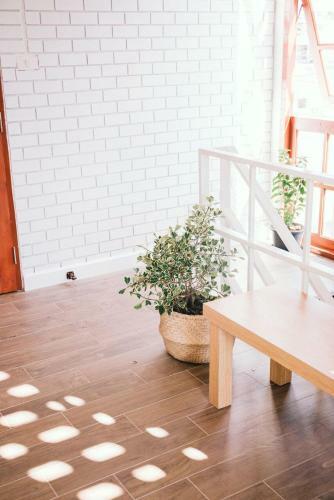 Albergue Baanyuuplearn