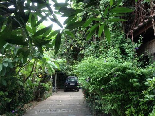Banban Nannan Library And Guesthome
