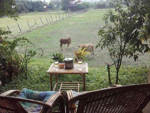 Apartamento Lotus House Pai