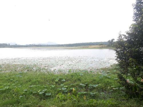 Agroturismo ??? ??????? ????? ????? ?????????? By The Dam Cafe And Farmstay