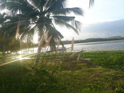 Agroturismo ??? ??????? ????? ????? ?????????? By The Dam Cafe And Farmstay