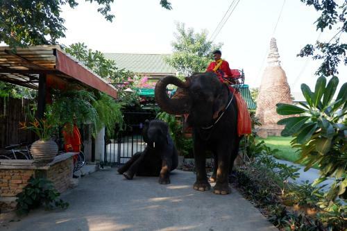The Park Ayutthaya Resort And Spa