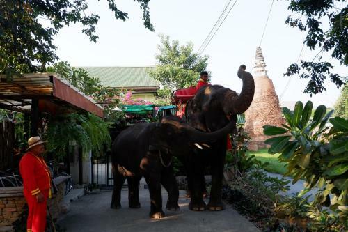 The Park Ayutthaya Resort And Spa
