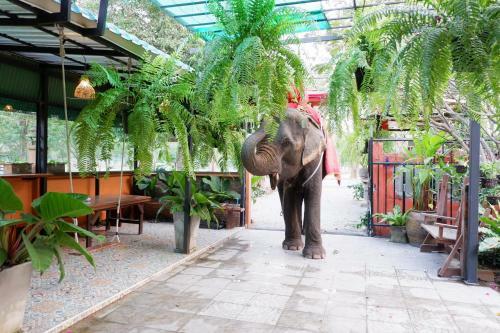 The Park Ayutthaya Resort And Spa