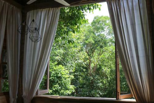 Lodge Roots Tree House