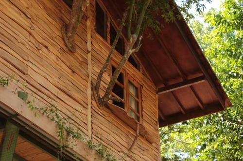 Lodge Roots Tree House