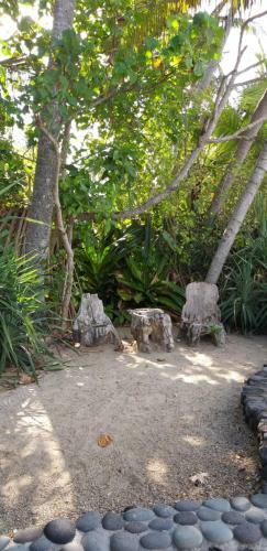 Bed & Breakfast Ida's Homestay