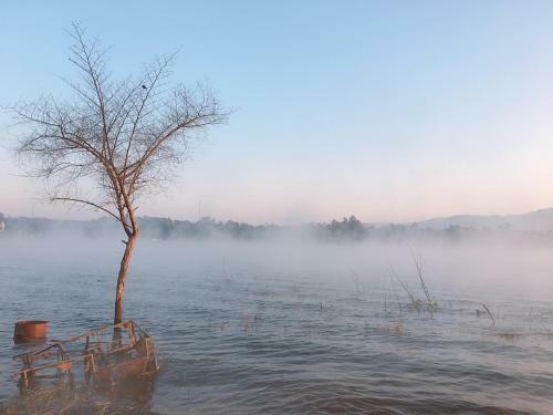 Hostal Baan Dongsak River View