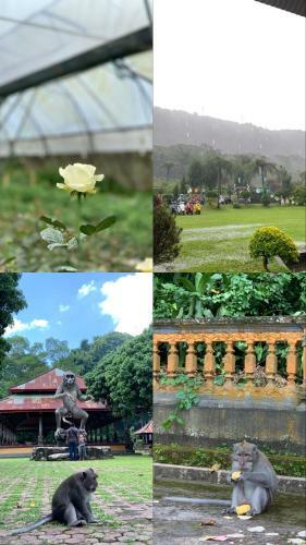 Villa Krisna II