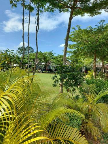 Hotel B Banana Resort