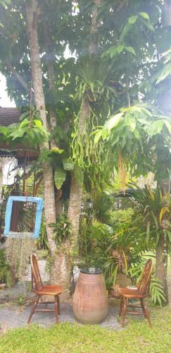 Hostal Marin' S Home