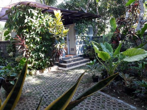 Manuh Guest House And Surf Camp