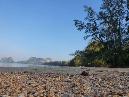 Bluelagoon Home Trang