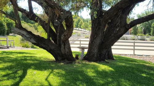 Agroturismo Farm Stay Studio