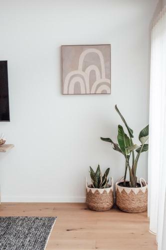 Apartamento Oceanhus Port Campbell