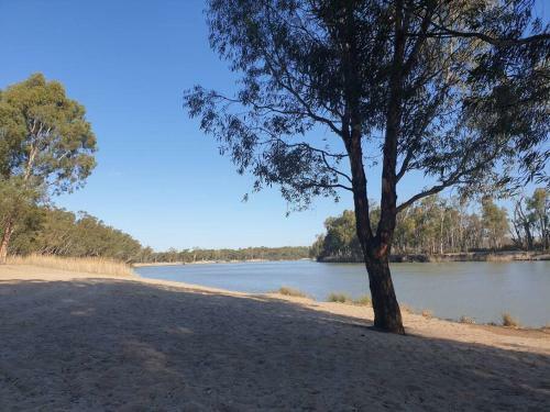 Riversands Rest Accommodation Paringa - Tea Tree Cottage