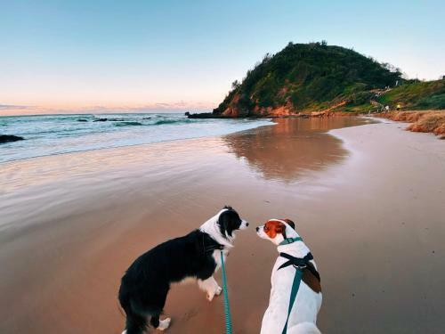 Apartamento Fi's Beach House