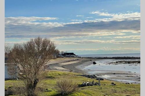 Aliz�-sur-mer