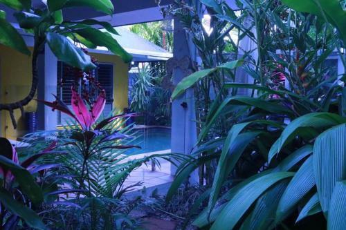 Villa Beauty Tiny Walk To Sea