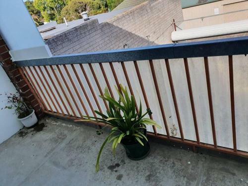 2 Bed Apartment Melbourne Area Free Parking