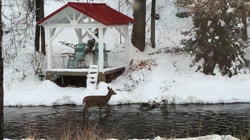 Bed & Breakfast Chalet Le Semeur