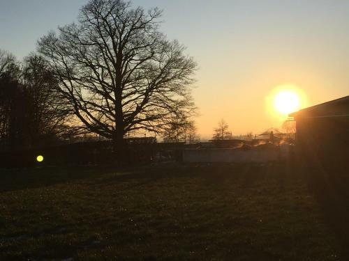 Apartamento Reiterhof Zwei Linden