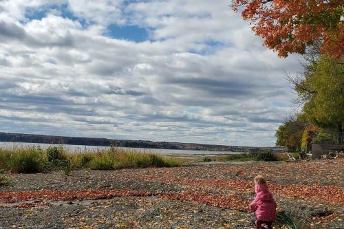 Le Temps D'une �le (Maison) - Vue Sur Le Fleuve