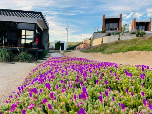 Otero Hotel - Valle de Guadalupe