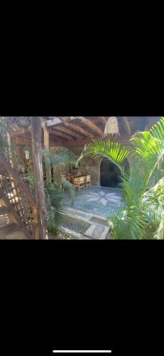 Casa Hikuri