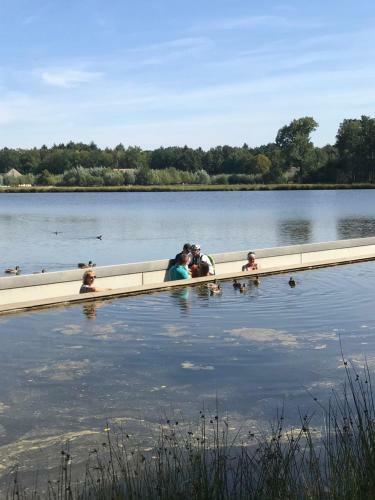 Vakantiewoning ?t Reigersnest