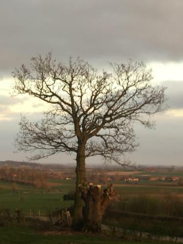 Domein De Kleine Mote