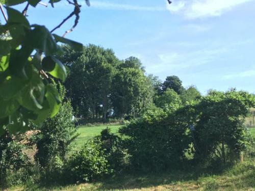 Vakantiewoning Hoge Zavel