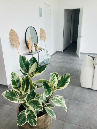 Apartamento Infinissime