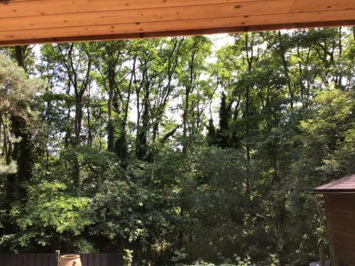 Charming House In The Woods With Private Wellness