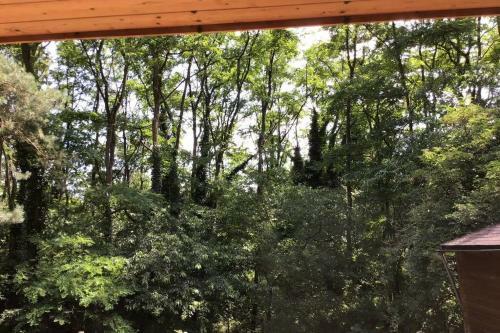Charming House In The Woods With Private Wellness