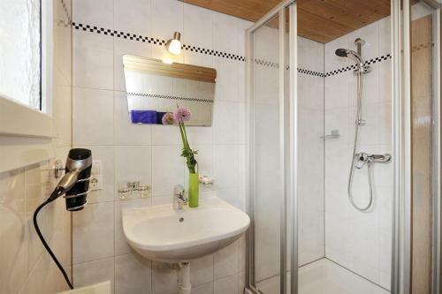 Apartamento Alpenhaus Netzer