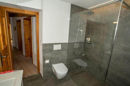 Apartamento Chasa Nogler - Ferienwohnung
