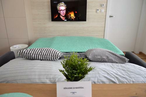 Apartm�n Nad Ar�nou Nmnm
