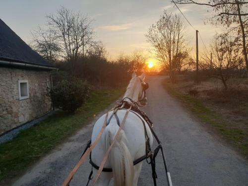 Agroturismo Farm Stay NH Stables
