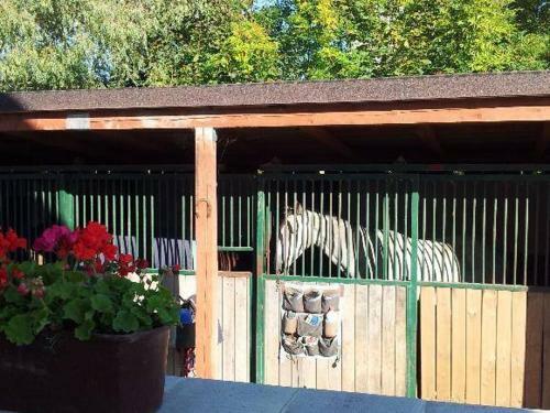 Agroturismo Farm Stay NH Stables