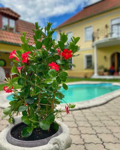 Hostal Penzion Na Star� Po?t?