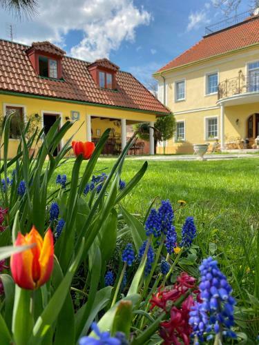 Hostal Penzion Na Star� Po?t?