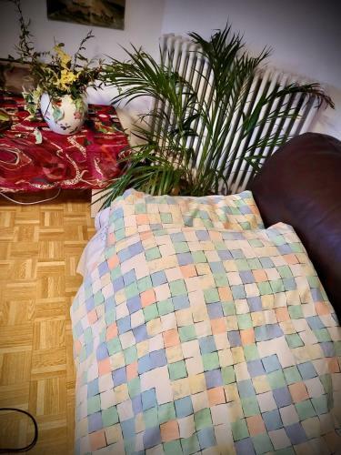 Zora's B&B