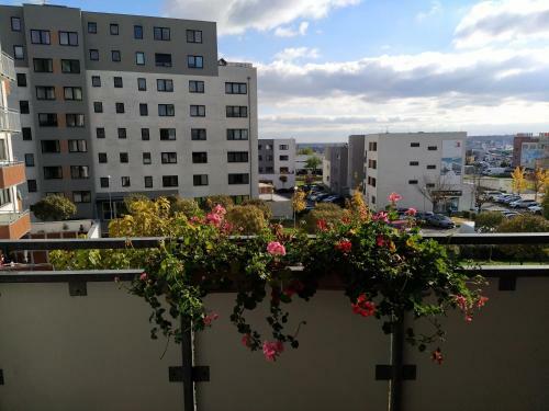 Apartm�n D31