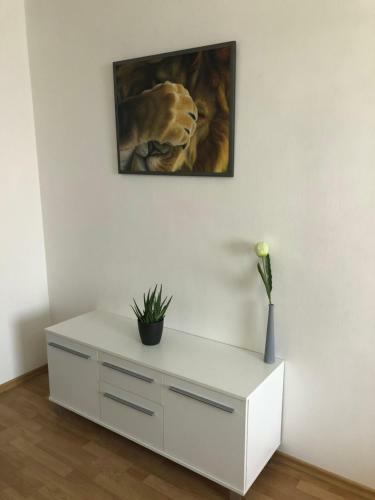 Apartm�n U Nemocnice