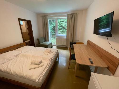 Hotel Pastviny